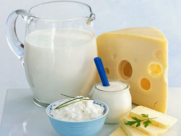 Image result for susu dan yogurt